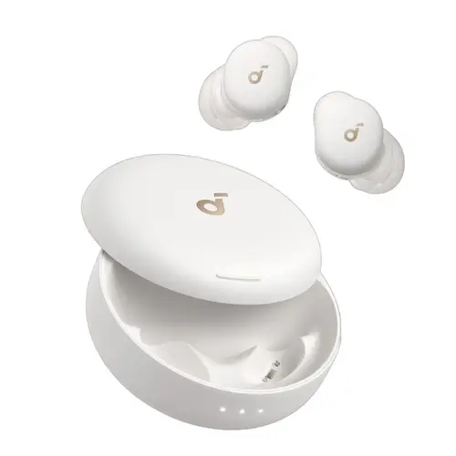 Anker Soundcore Sleep A30 Wireless Earbuds