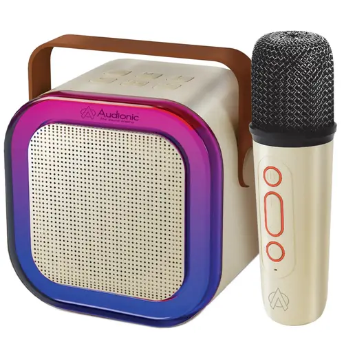 Audionic Boom Box 102 Speaker