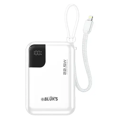 Bluks Bx 308 20000mah Power Bank