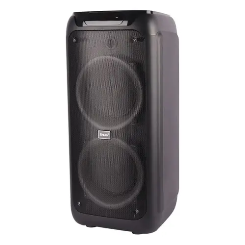 Bts 2173 Bluetooth Karaoke Speaker