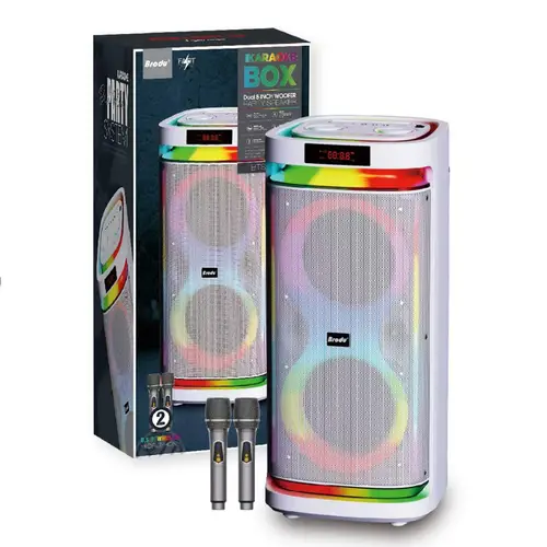 Bts 2407 Portable Wireless Mic With Speaker
