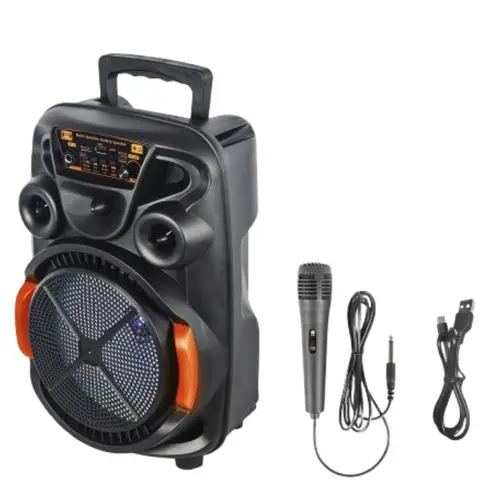Ch 868 Wireless Portable Speaker