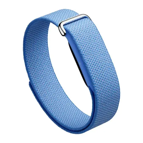 Google Fitbit Air