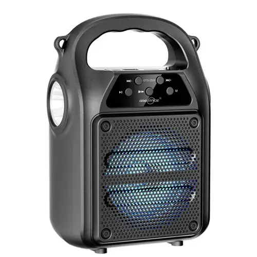 Gts 2539 Fm Radio And Torch Light Speaker