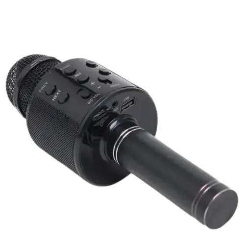 Mic With Children S Speaker