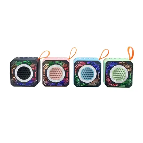 X 19 Wireless Disco Portable Speaker